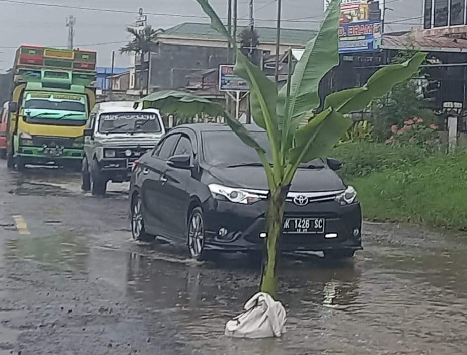 Warga Karo Tanam Pohon Pisang sebagai Aksi Protes Jalan Jamin Ginting Rusak