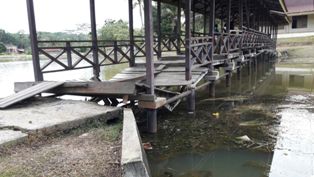 PK KNPI Pangkalan Kuras: Aset Budaya Melayu Petalang di Danau Betung Terancam Punah