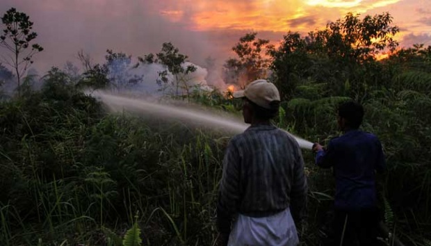 BMKG Pantau Aktivitas 13 Titik Api Kebakaran Lahan di Riau