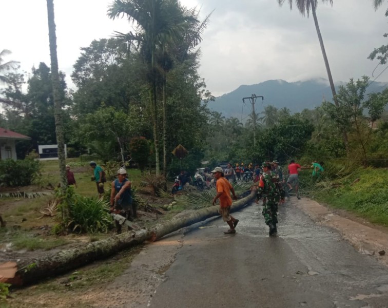 Sigap Babinsa Koramil 07/JH Bantu Warga Atasi Pohon Tumbang Akibat Hujan Dan Angin Kencang