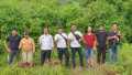 103 Tanaman Ganja Berhasil Diamankan BNNK Karo Beserta Pelakunya di Desa Tanjung Barus